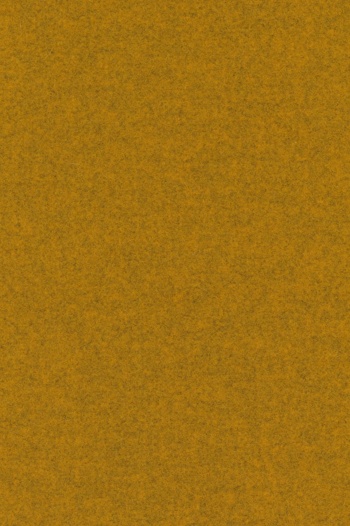 Divina melange 3, 457